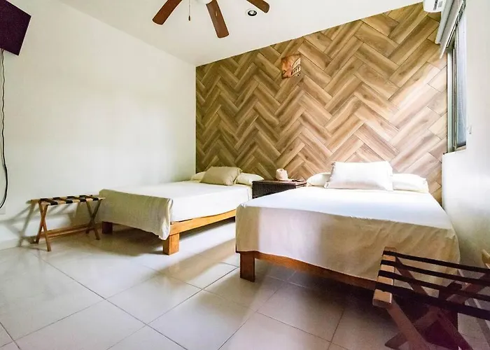 Penthouse Terraza & Jacuzzi Panoramicos, Playas-cenotes Y La Quinta Avenida Todo Caminando A 10 Minutos! Muy Amplio 2 Niveles, Excelente Ubicacion Centro De Playa Del Carmen, Cerca De Restaurantes, Bares, Area De Coworking Incluida Nomadas Digit